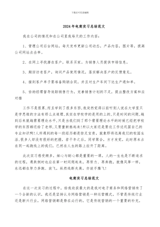 2024年电商实习总结范文