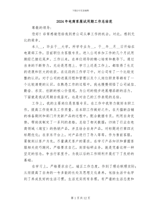 2024年电商客服试用期工作总结范
