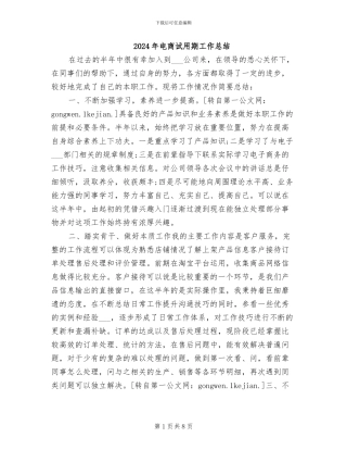 2024年电商试用期工作总结