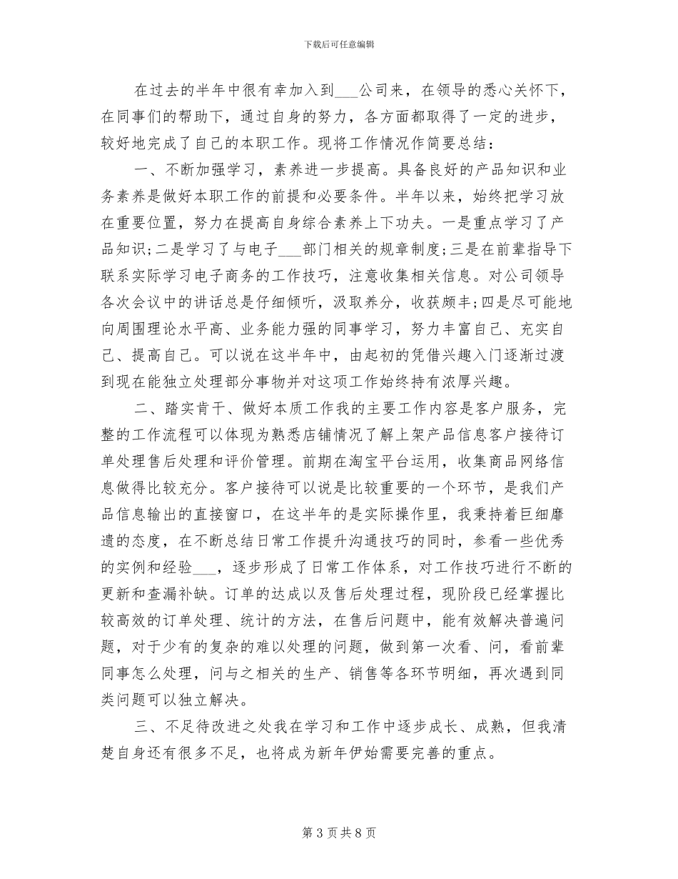 2024年电商试用期转正工作小结_第3页