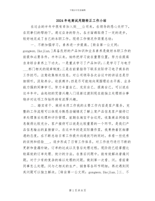2024年电商试用期转正工作小结