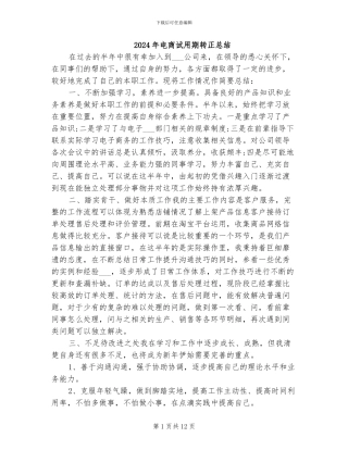 2024年电商试用期转正总结