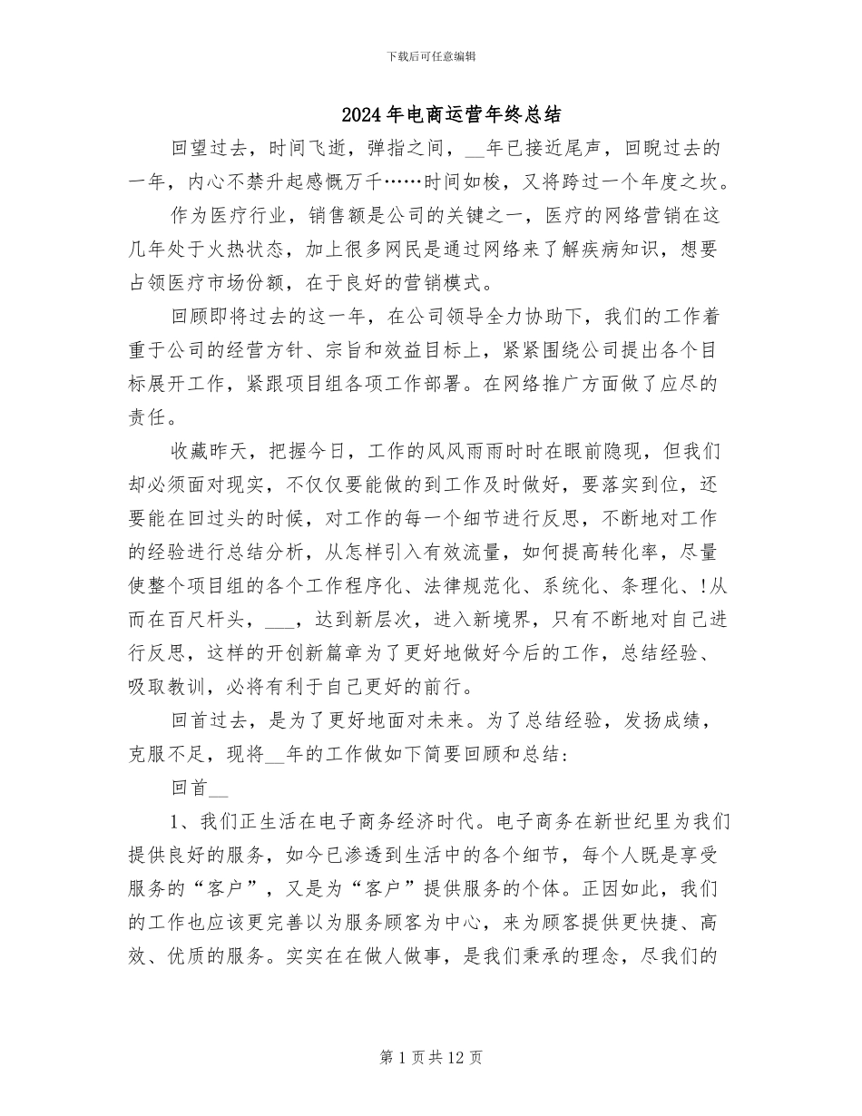 2024年电商运营年终总结_第1页