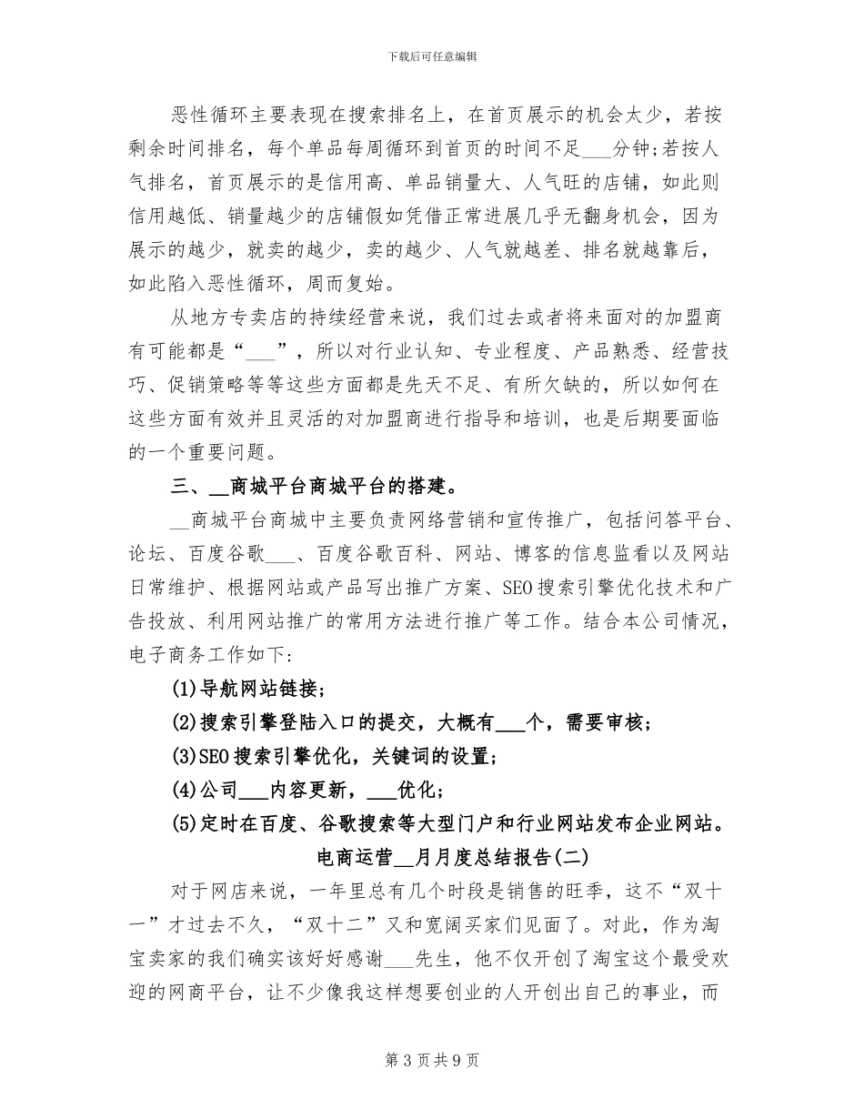 2024年电商运营月度总结报告_第3页