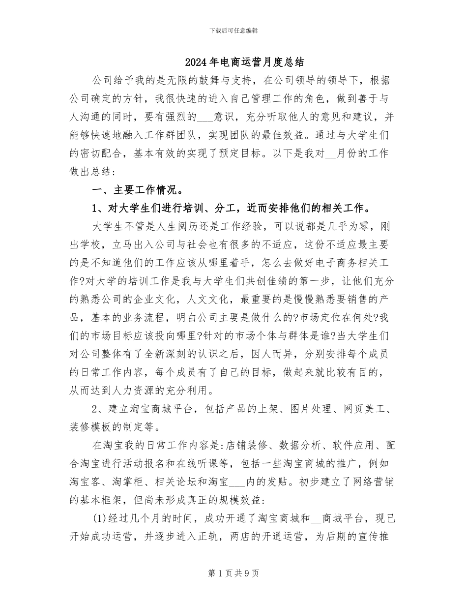 2024年电商运营月度总结_第1页
