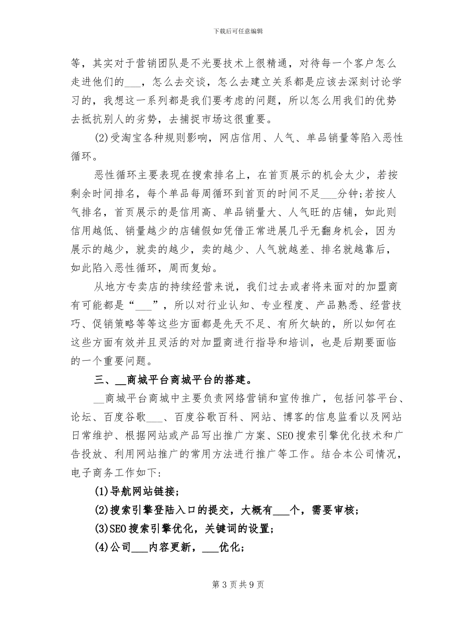 2024年电商运营月度总结_第3页