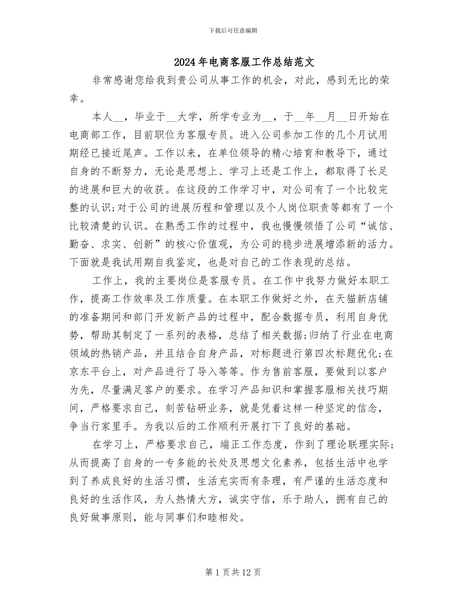 2024年电商客服工作总结范文_第1页