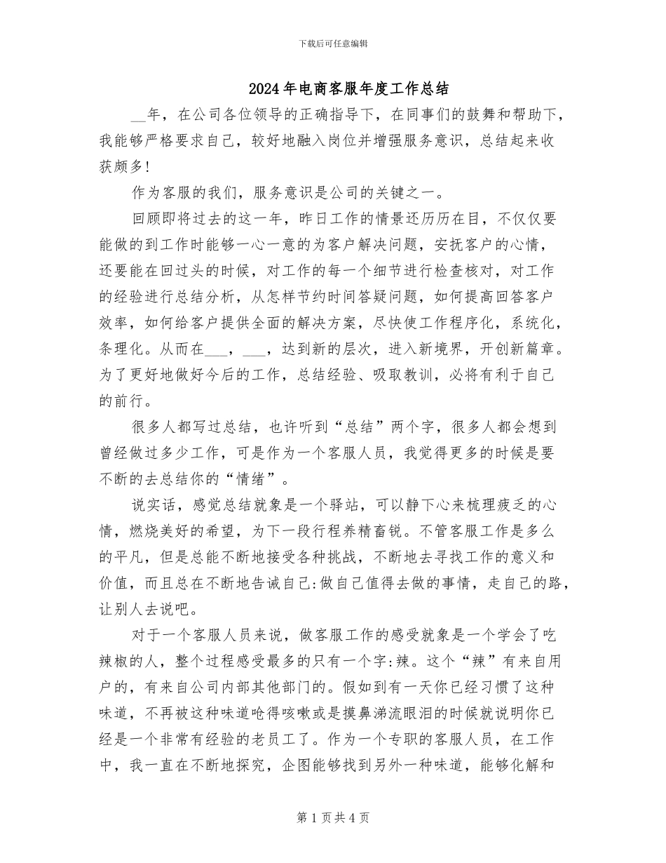 2024年电商客服年度工作总结_第1页