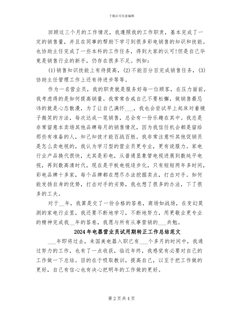 2024年电器营业员试用期转正工作总结_第2页