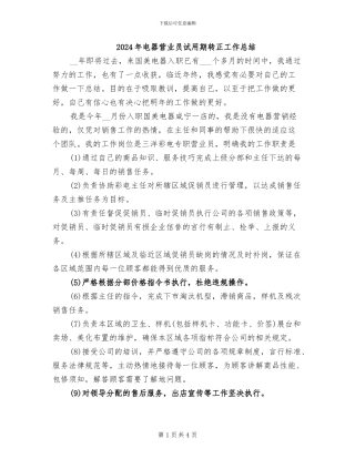2024年电器营业员试用期转正工作总结