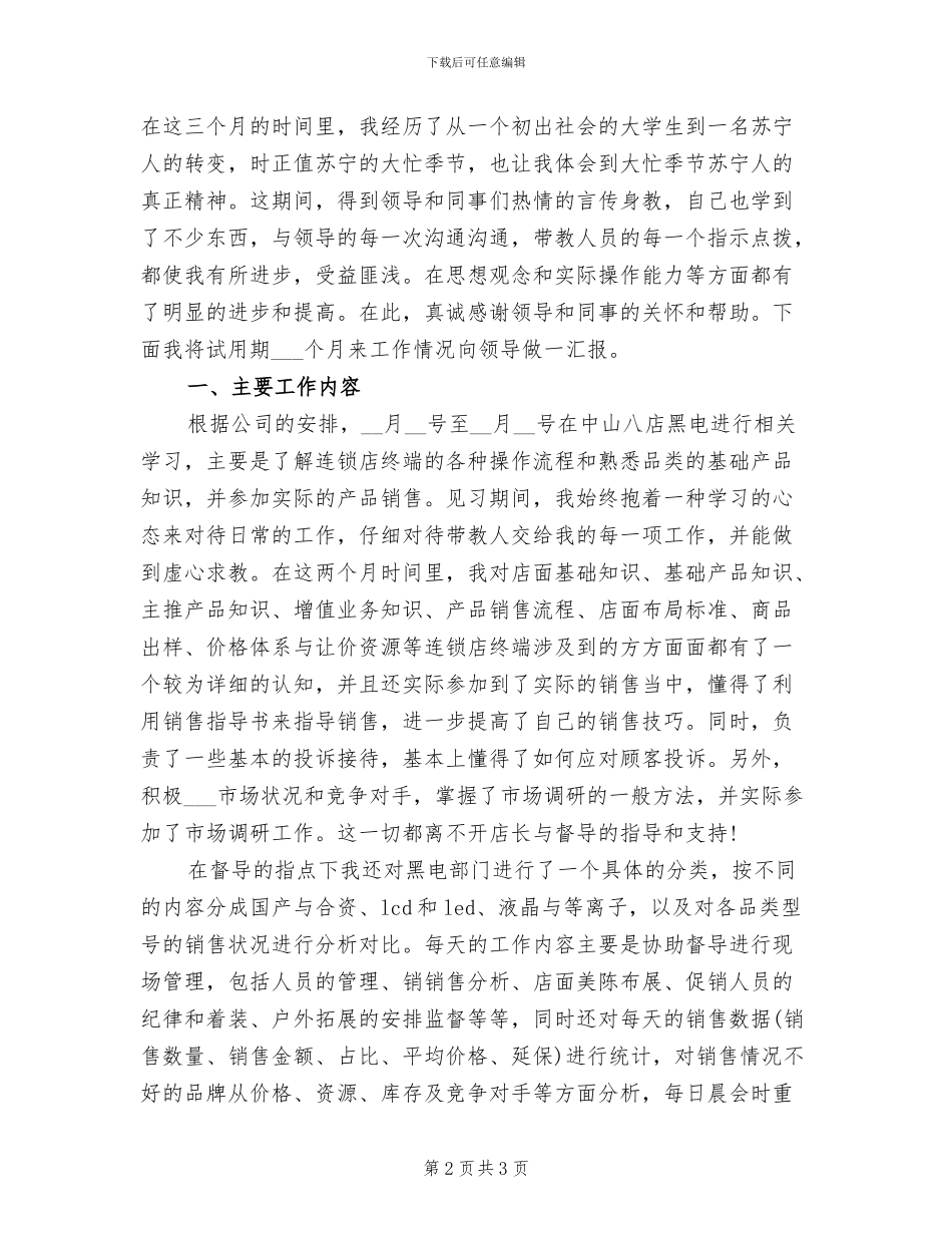 2024年电器销售员工作总结_第2页