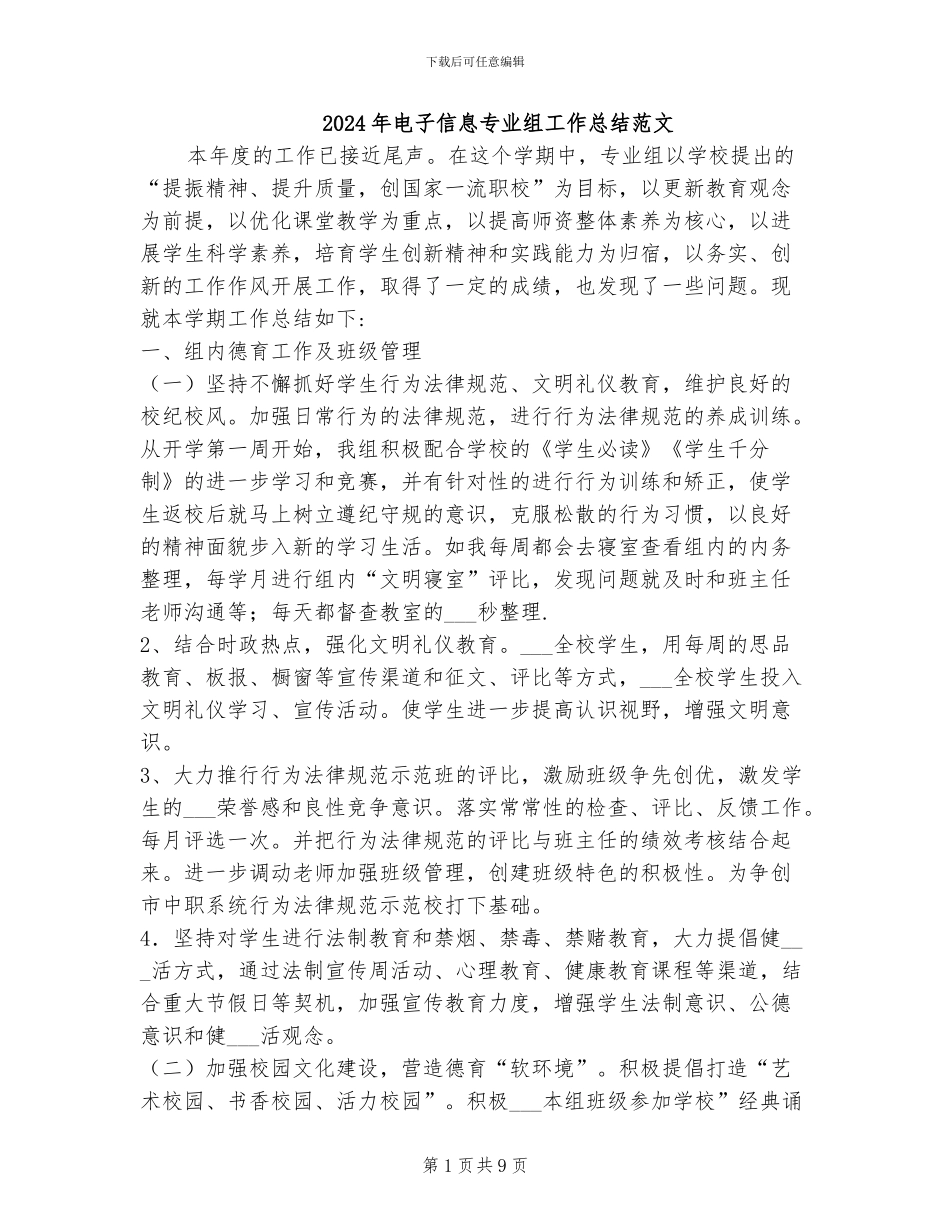 2024年电子信息专业组工作总结范文_第1页