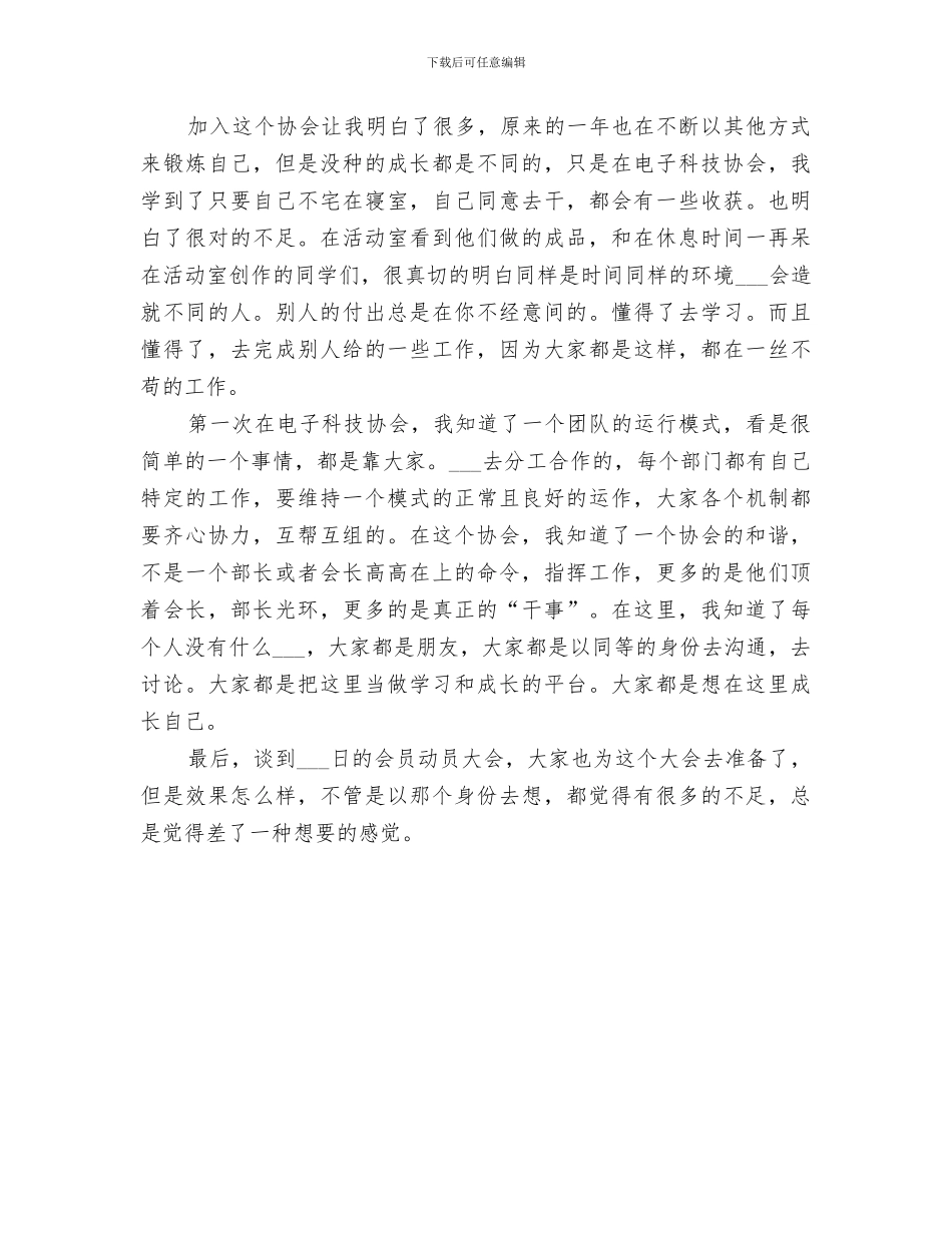 2024年电子协会工作总结_第3页