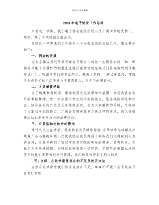 2024年电子协会工作总结