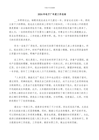 2024年电子厂年度工作总结