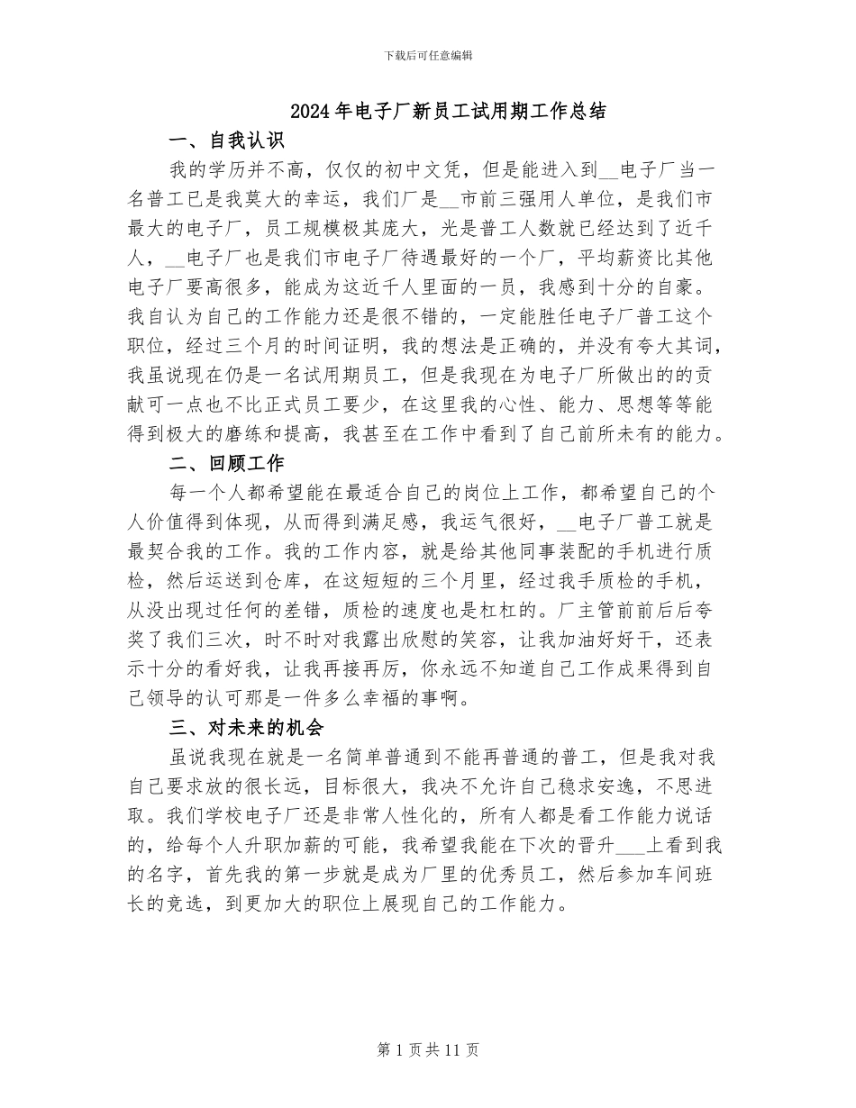 2024年电子厂新员工试用期工作总结_第1页