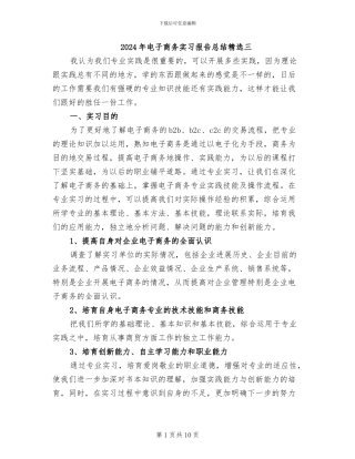 2024年电子商务实习报告总结精选三