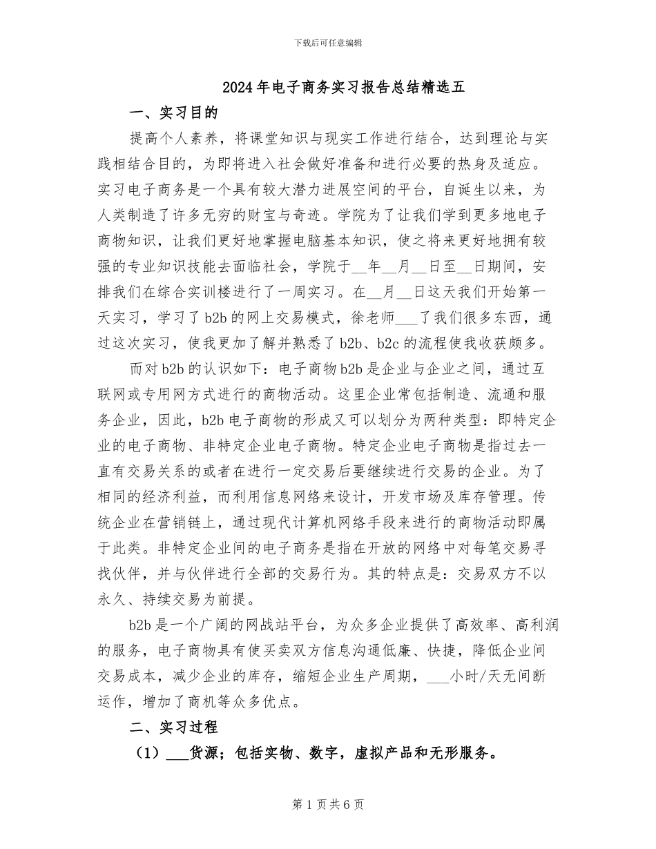 2024年电子商务实习报告总结精选五_第1页