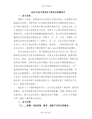 2024年电子商务实习报告总结精选五