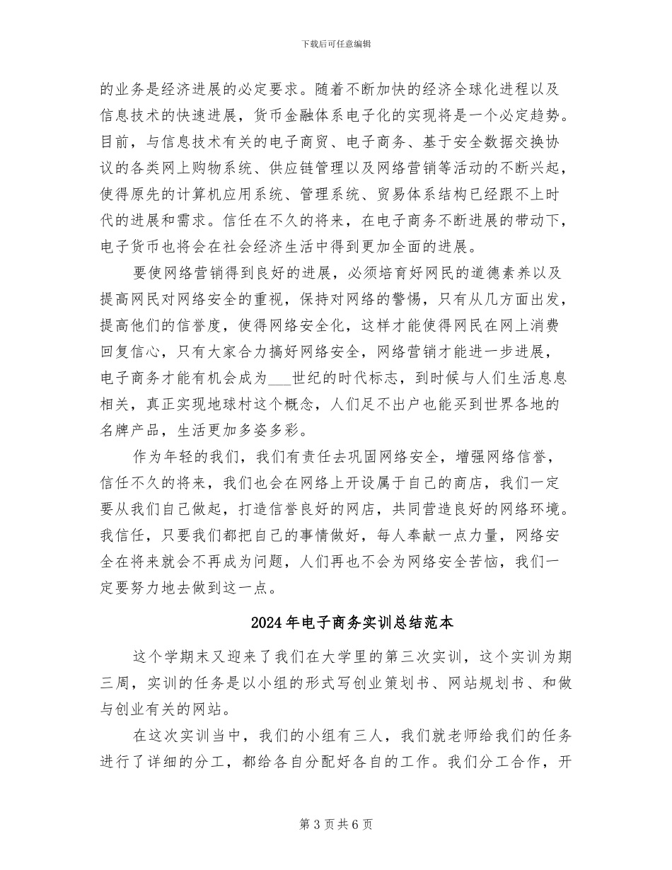 2024年电子商务实训总结模板_第3页