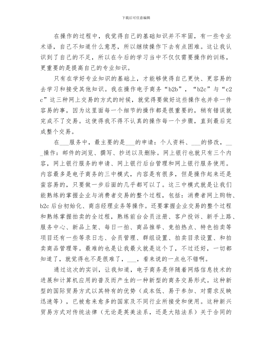 2024年电子商务实训报告总结范文_第2页