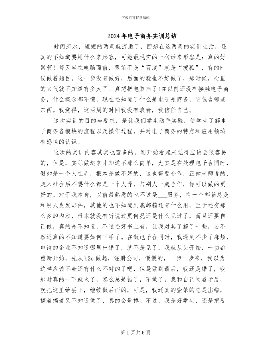 2024年电子商务实训总结_第1页
