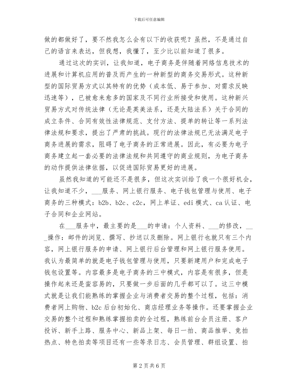 2024年电子商务实训总结_第2页