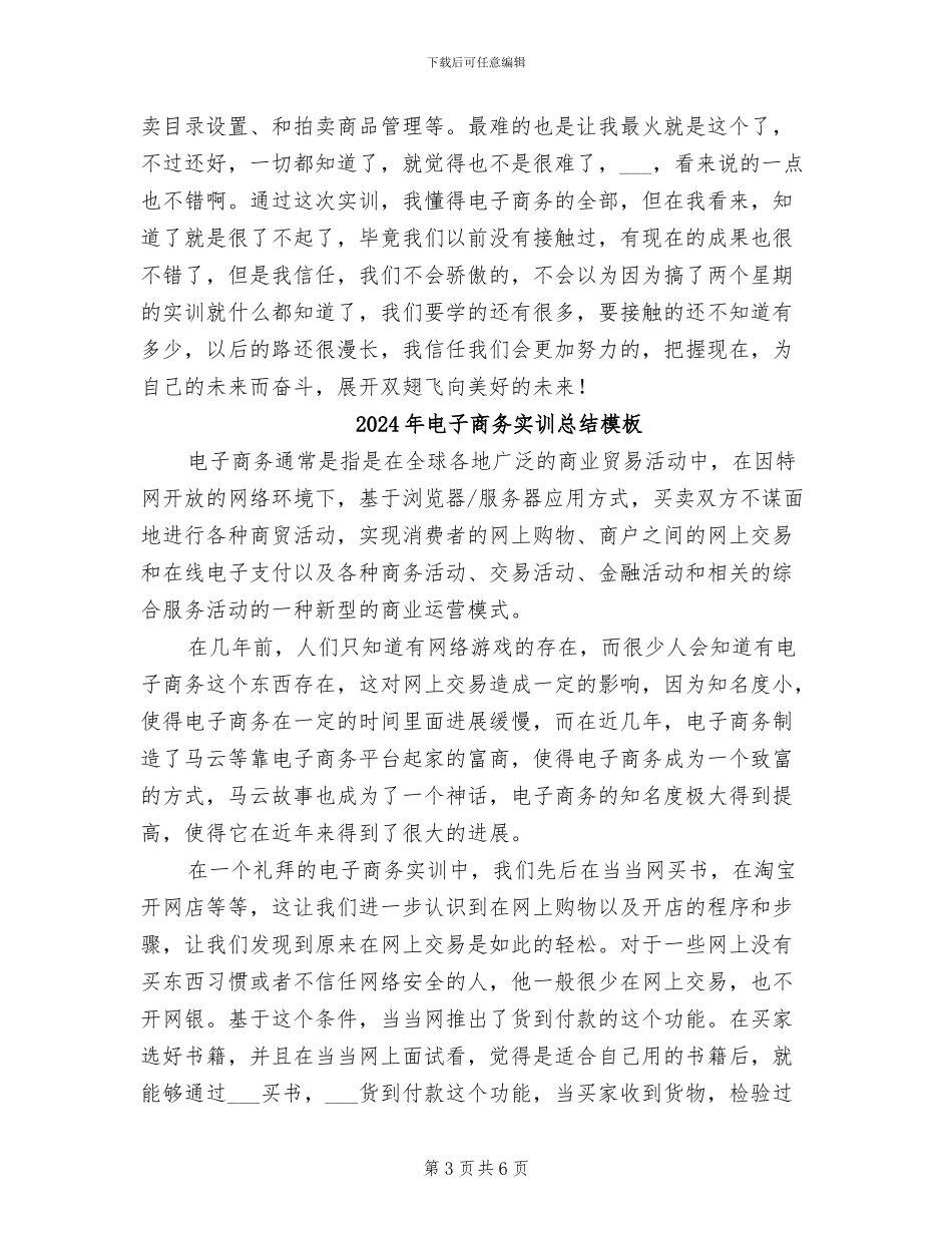 2024年电子商务实训总结_第3页