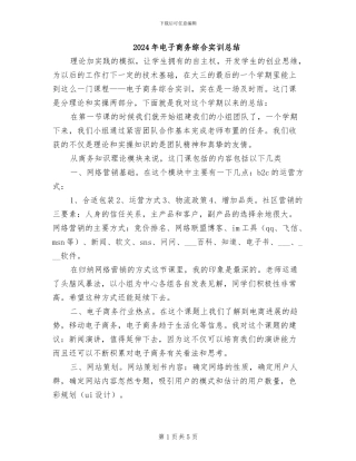 2024年电子商务综合实训总结