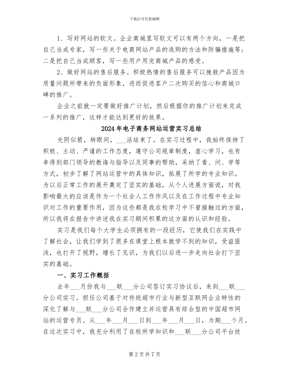 2024年电子商务网站推广分析总结_第2页
