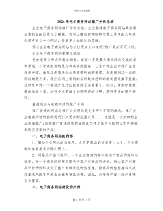 2024年电子商务网站推广分析总结