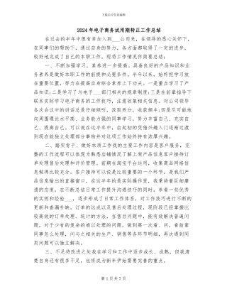 2024年电子商务试用期转正工作总结