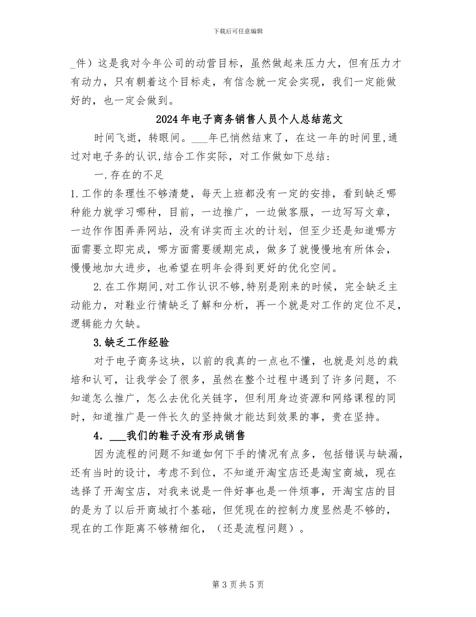 2024年电子商务销售人员个人总结_第3页