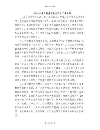 2024年电子政务信息化个人工作总结