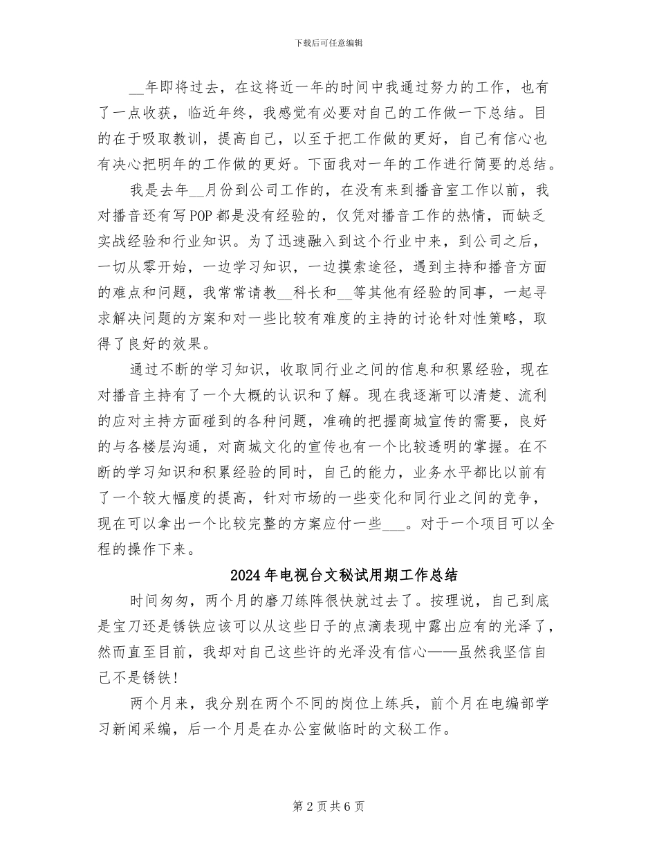 2024年电视台播音员年度总结_第2页