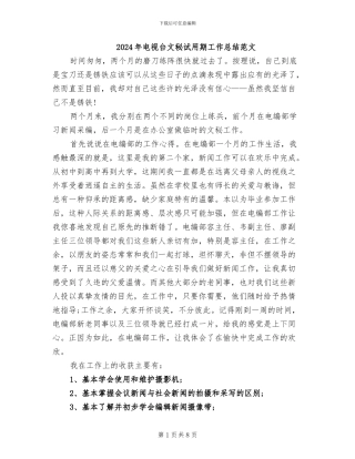 2024年电视台文秘试用期工作总结范文