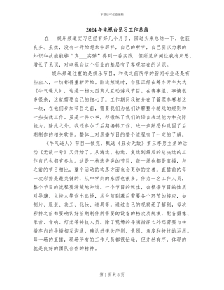 2024年电视台见习工作总结