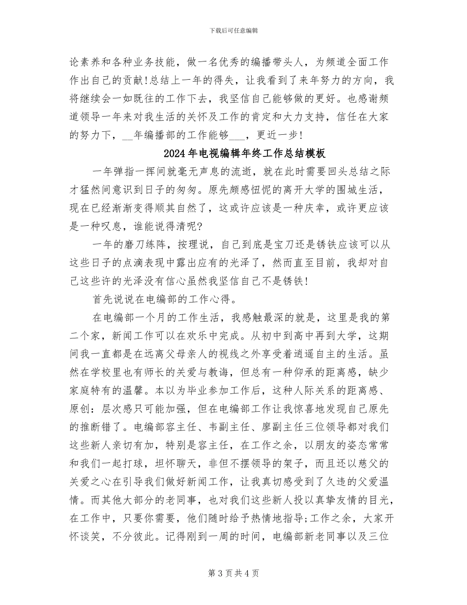 2024年电视编辑年终工作总结_第3页