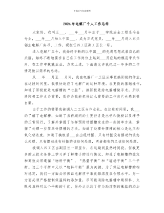 2024年电解厂个人工作总结