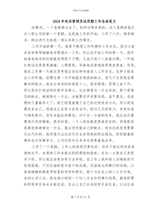 2024年电话营销员试用期工作总结范文