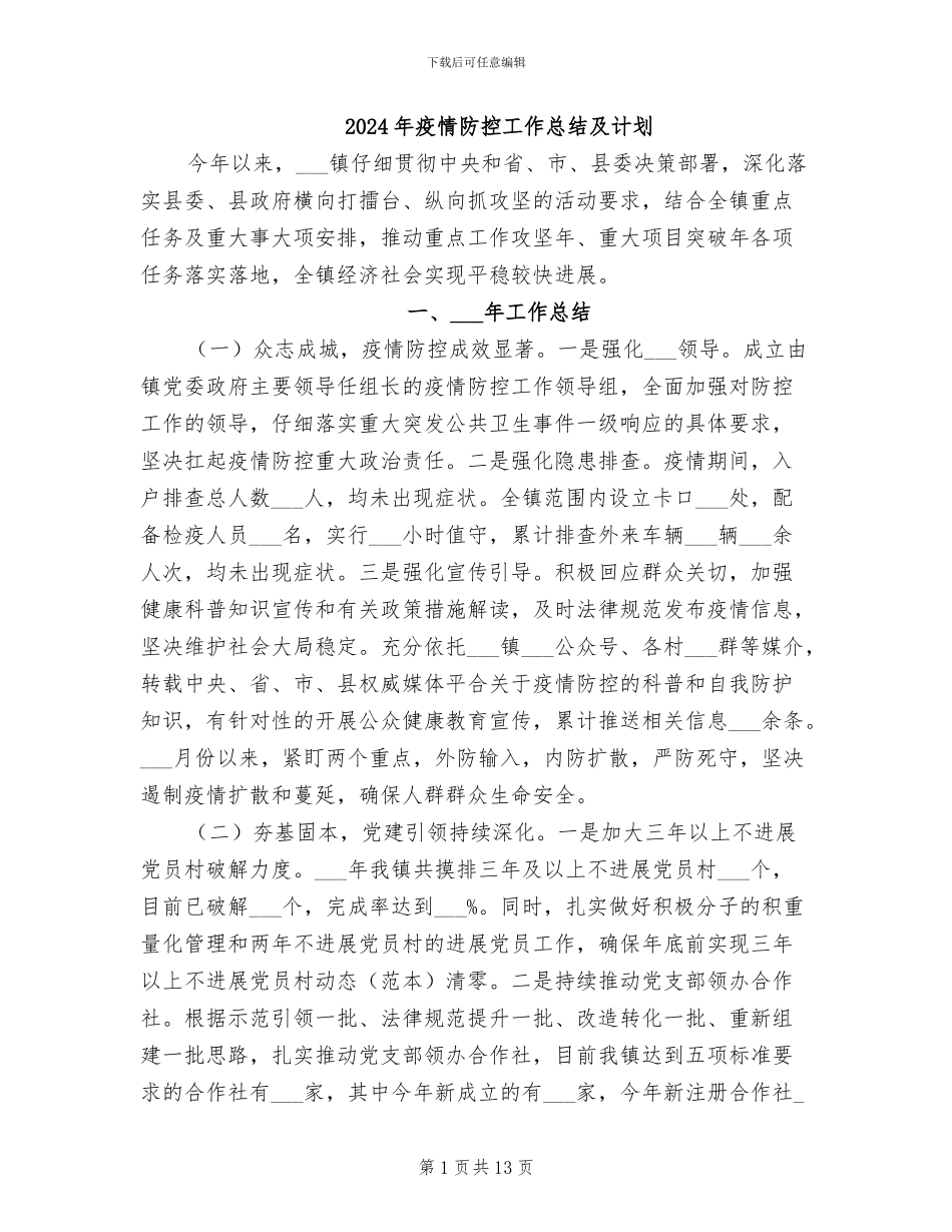 2024年疫情防控工作总结及计划_第1页