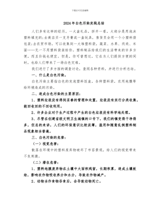 2024年白色污染实践总结