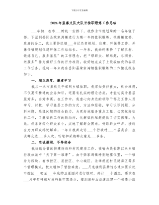 2024年监察支队大队长挂职锻炼工作总结