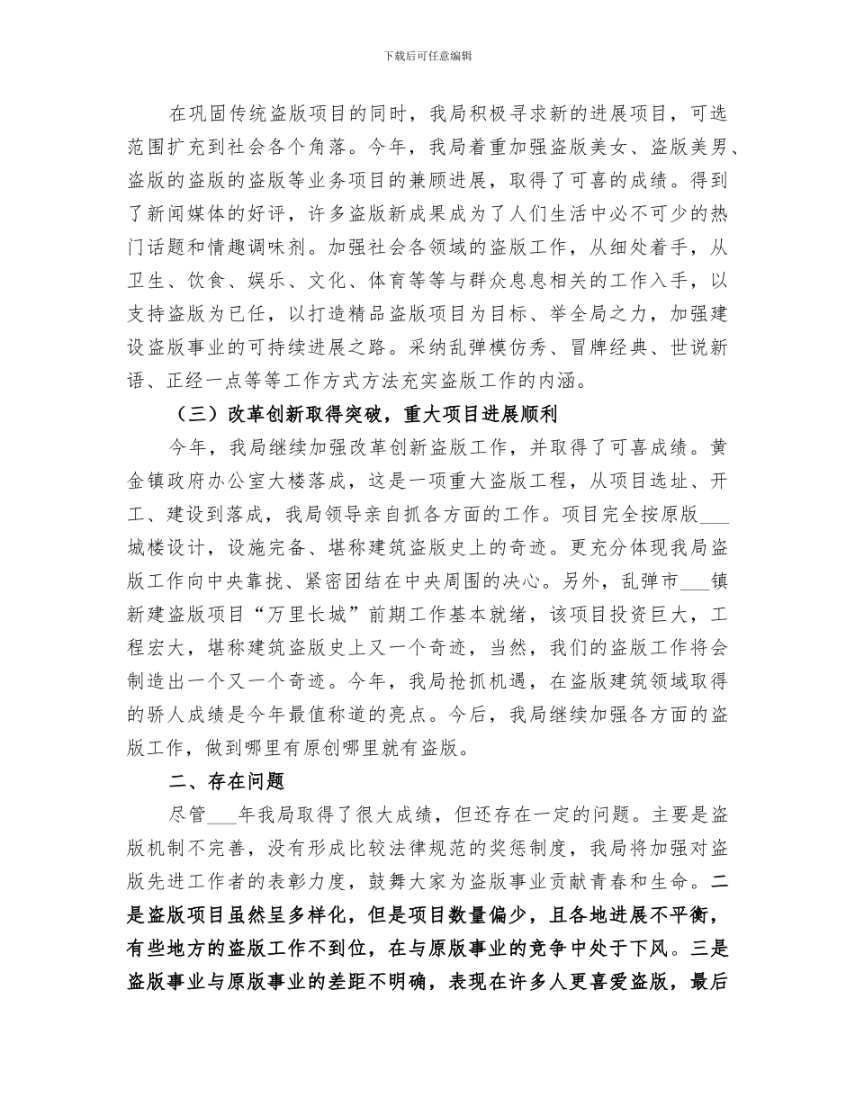 2024年盗版局年度工作总结_第2页