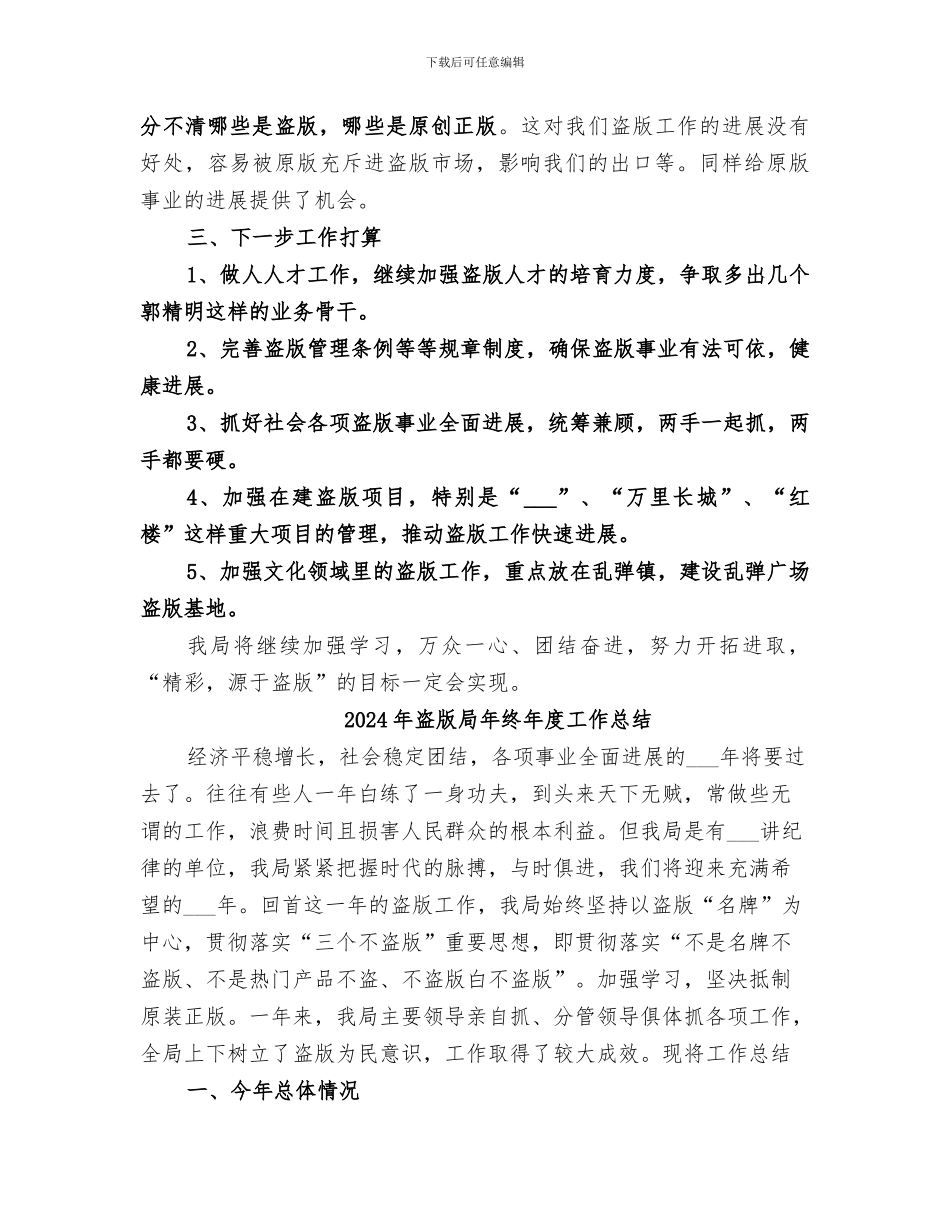 2024年盗版局年度工作总结_第3页