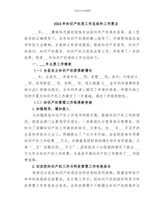 2024年知识产权局工作总结和工作要点