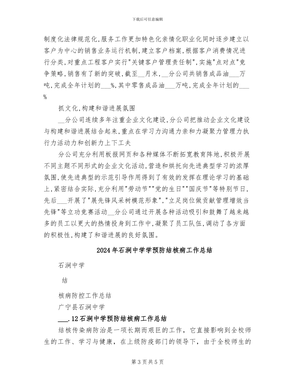 2024年石油销售总结_第3页