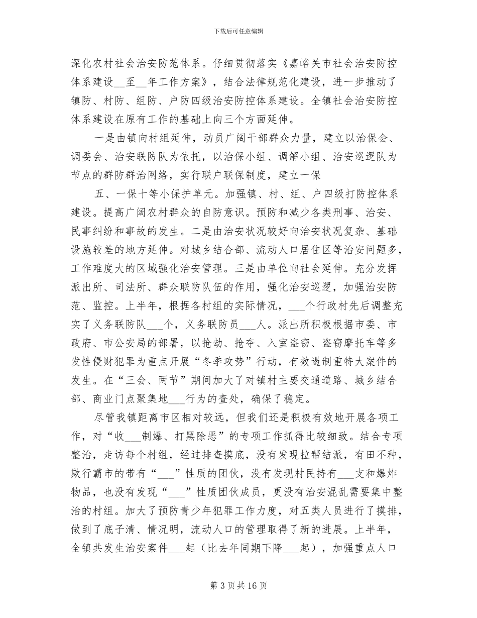 2024年社会治安综合治理总结范文_第3页