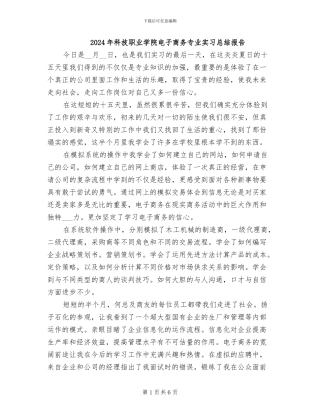 2024年科技职业学院电子商务专业实习总结报告