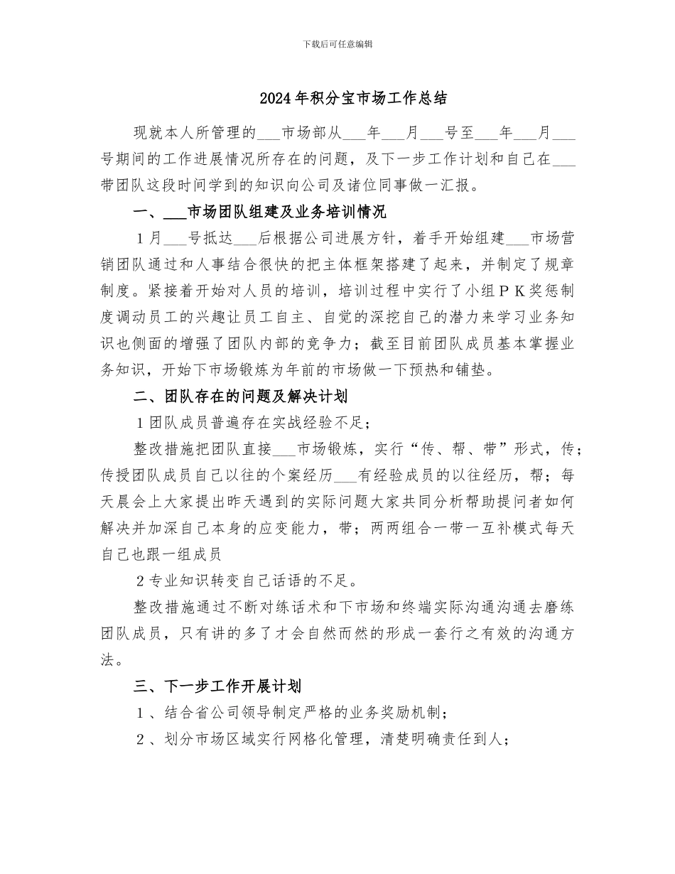 2024年积分宝市场工作总结_第1页